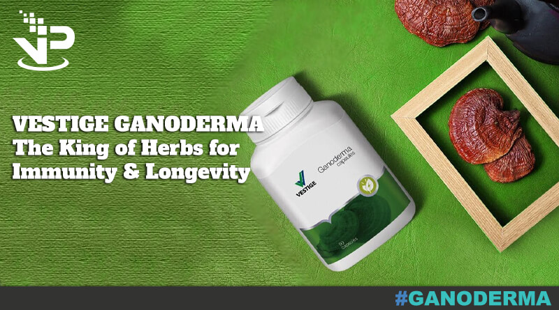 Ganoderma